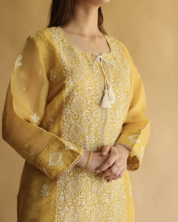Noor Organza Silk Chikankari Straight Cut Kurta Dupatta Set - Image 8