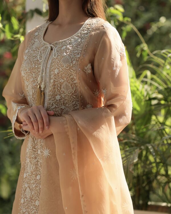 Noor Organza Silk Chikankari Straight Cut Kurta Dupatta Set - Image 2