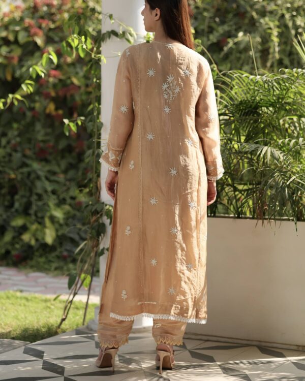 Noor Organza Silk Chikankari Straight Cut Kurta Dupatta Set - Image 11