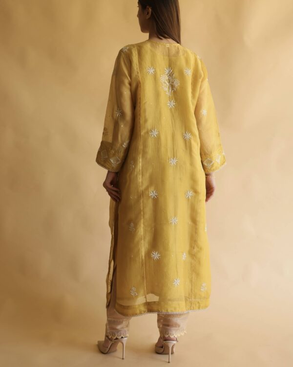 Noor Organza Silk Chikankari Straight Cut Kurta Dupatta Set - Image 11