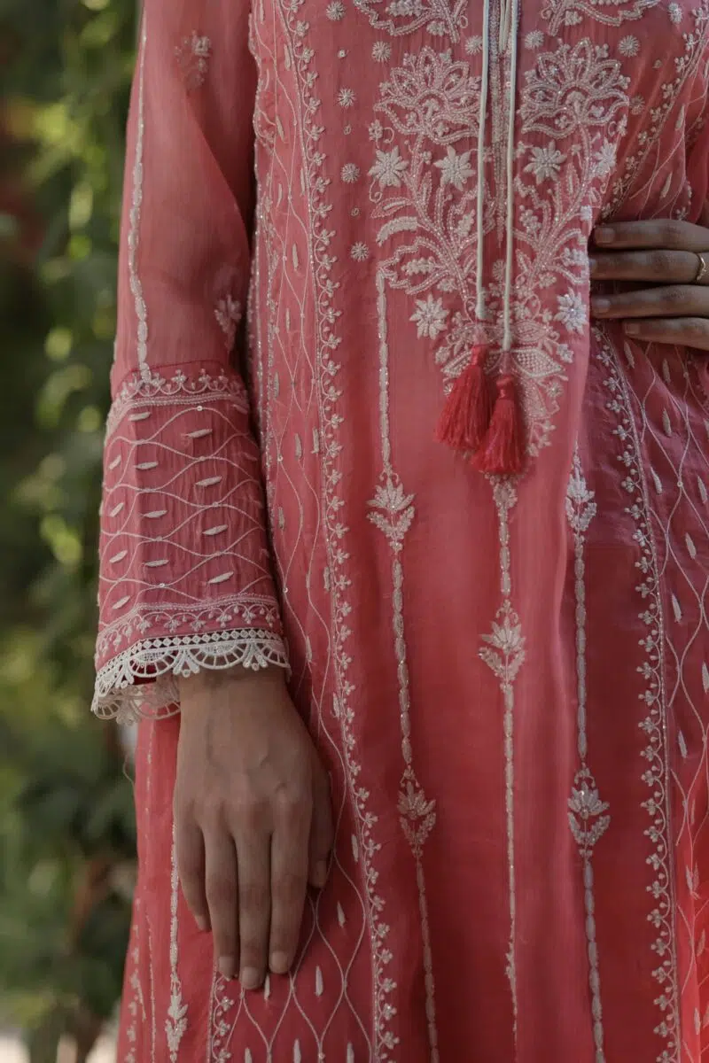 Noor Organza Chikankari Anarkali