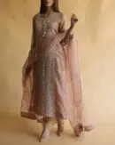 Noor Organza Silk Chikankari Straight Cut Kurta Dupatta Set