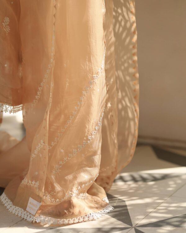 Noor Organza Silk Chikankari Straight Cut Kurta Dupatta Set - Image 12