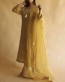 Noor Organza Silk Chikankari Straight Cut Kurta Dupatta Set