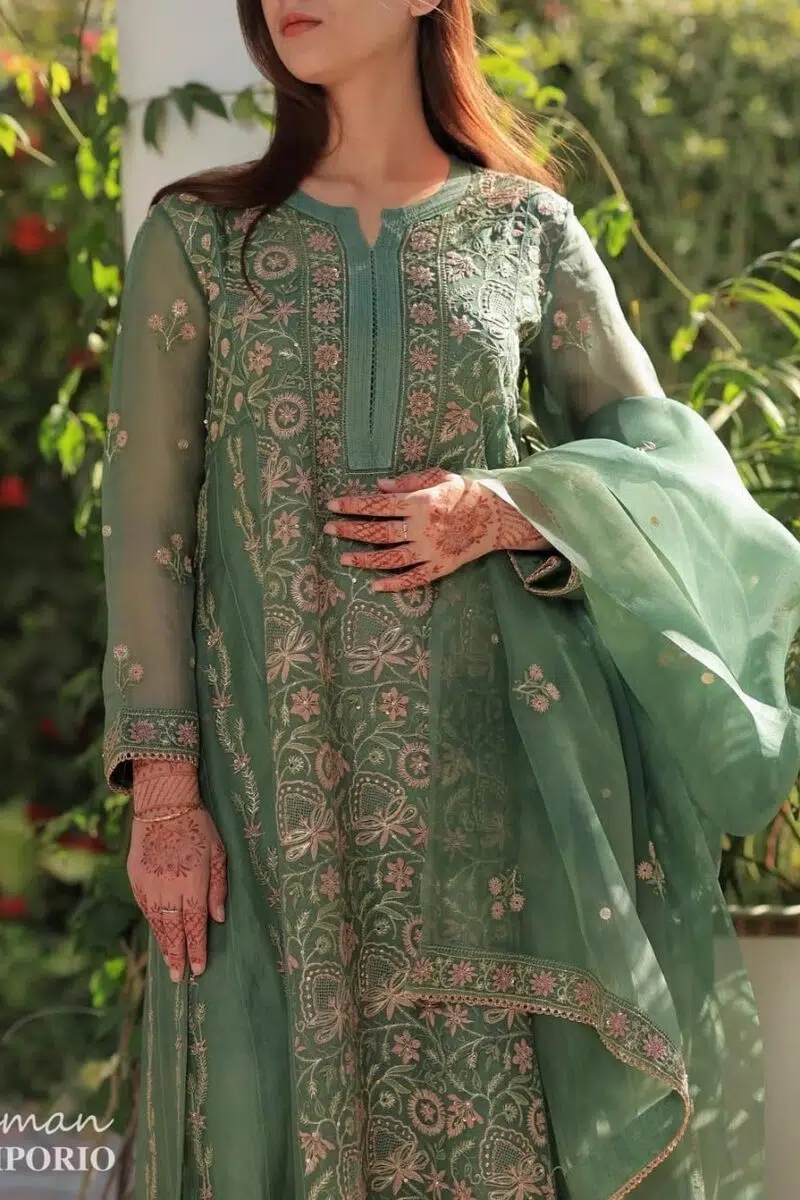 Noor Organza Chikankari Anarkali