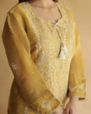 Noor Organza Silk Chikankari Straight Cut Kurta Dupatta Set