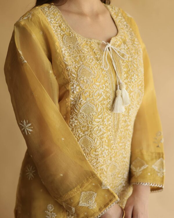 Noor Organza Silk Chikankari Straight Cut Kurta Dupatta Set - Image 6