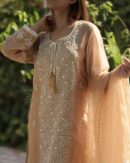Noor Organza Silk Chikankari Straight Cut Kurta Dupatta Set