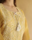 Noor Organza Silk Chikankari Straight Cut Kurta Dupatta Set