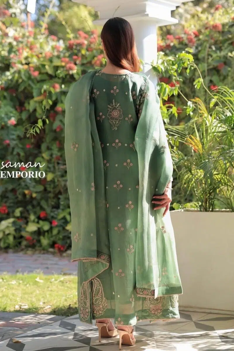 Noor Organza Chikankari Anarkali