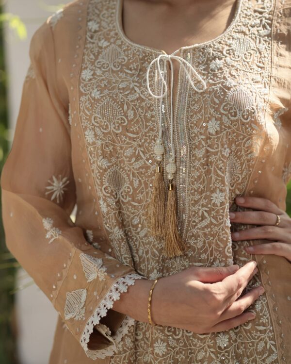 Noor Organza Silk Chikankari Straight Cut Kurta Dupatta Set - Image 5