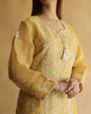Noor Organza Silk Chikankari Straight Cut Kurta Dupatta Set