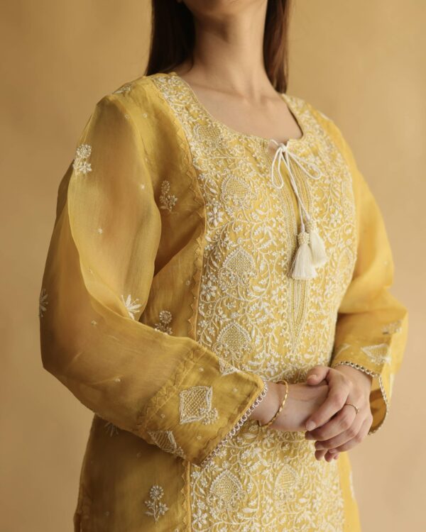 Noor Organza Silk Chikankari Straight Cut Kurta Dupatta Set - Image 3