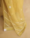 Noor Organza Silk Chikankari Straight Cut Kurta Dupatta Set