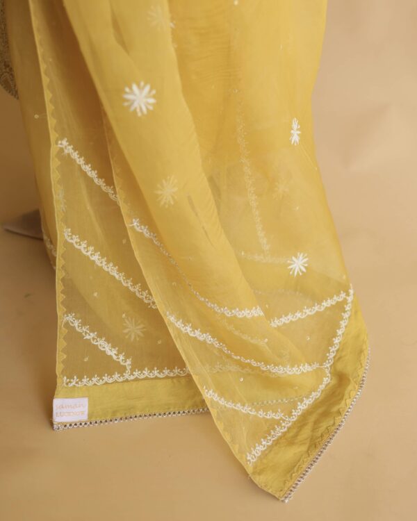 Noor Organza Silk Chikankari Straight Cut Kurta Dupatta Set - Image 9