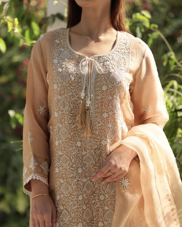 Noor Organza Silk Chikankari Straight Cut Kurta Dupatta Set