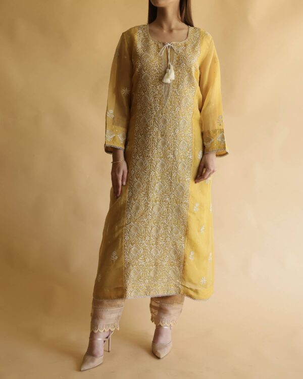 Noor Organza Silk Chikankari Straight Cut Kurta Dupatta Set - Image 5