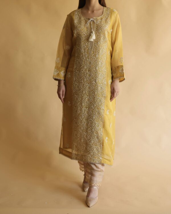 Noor Organza Silk Chikankari Straight Cut Kurta Dupatta Set - Image 7