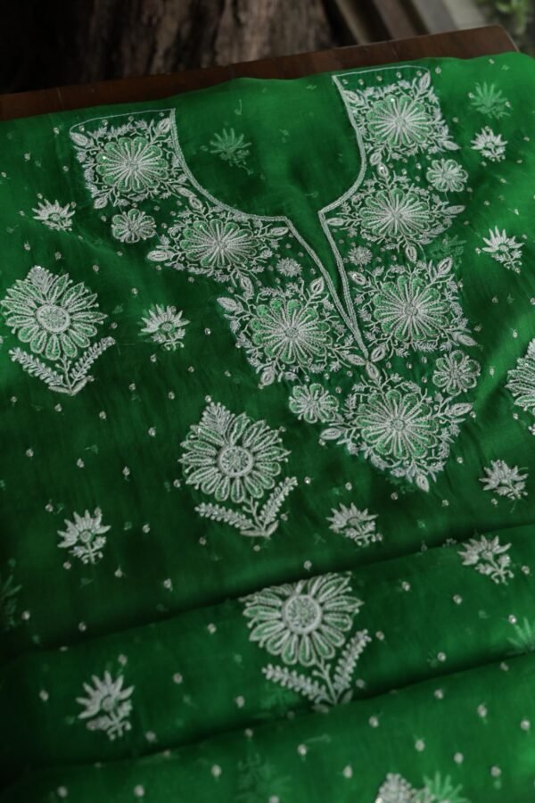 Noor | Organza Silk Fabrics - Image 13