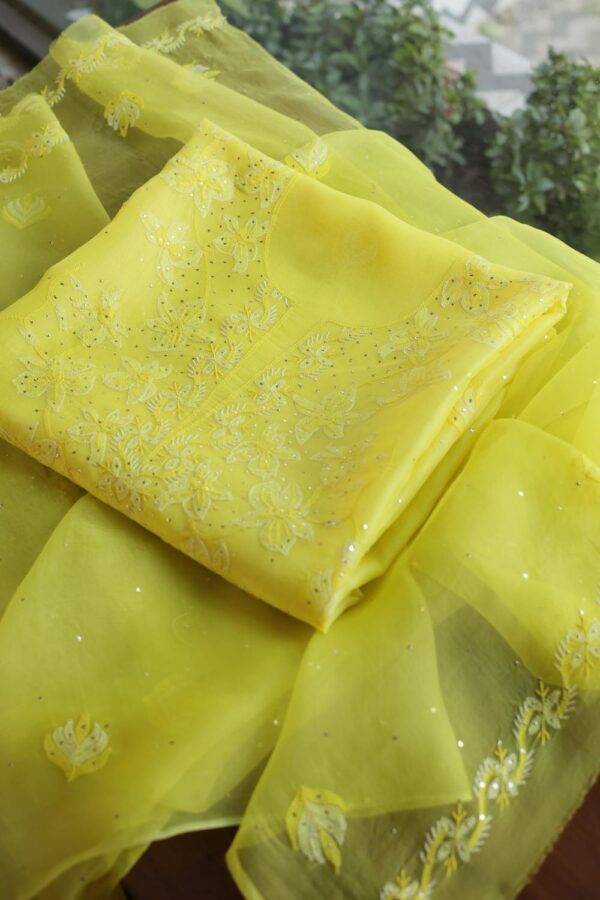 Noor | Organza Silk Fabrics - Image 10