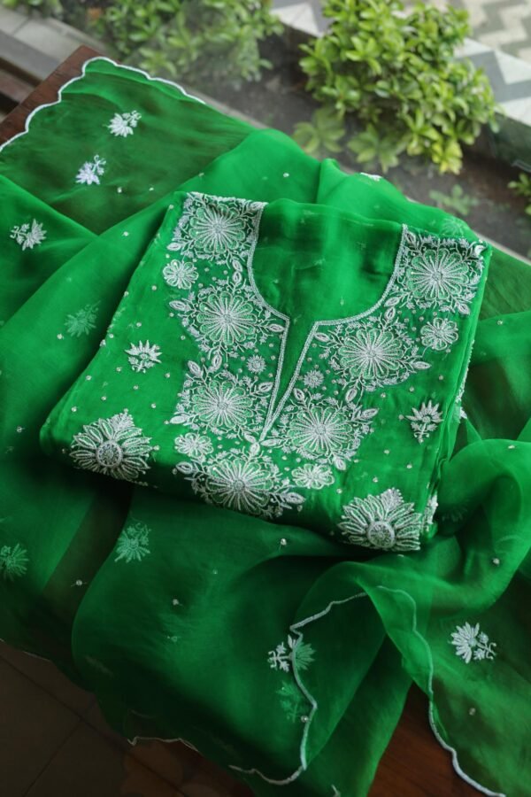 Noor | Organza Silk Fabrics - Image 7