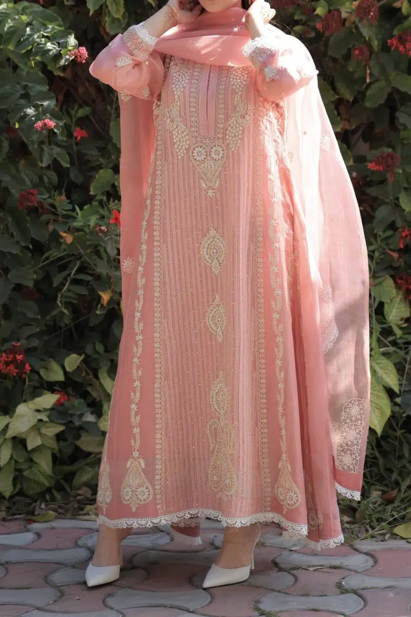 Pink | Organza Chikankari Anarkali