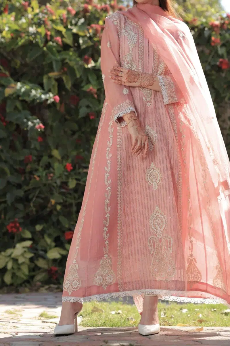 Pink | Organza Chikankari Anarkali