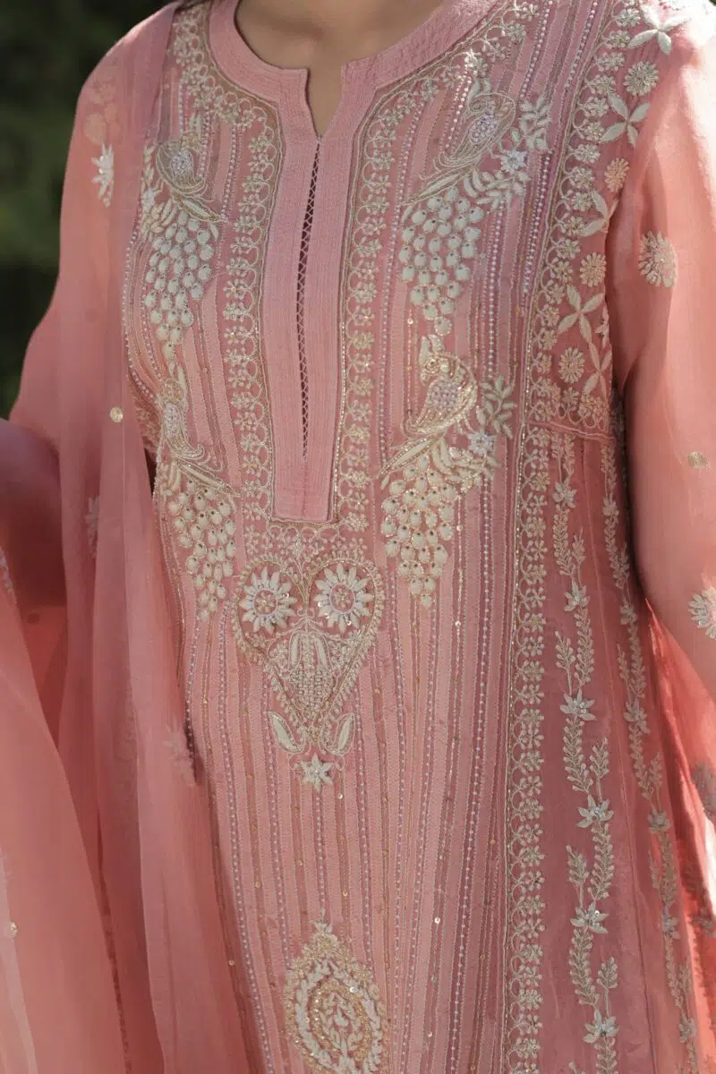 Pink | Organza Chikankari Anarkali