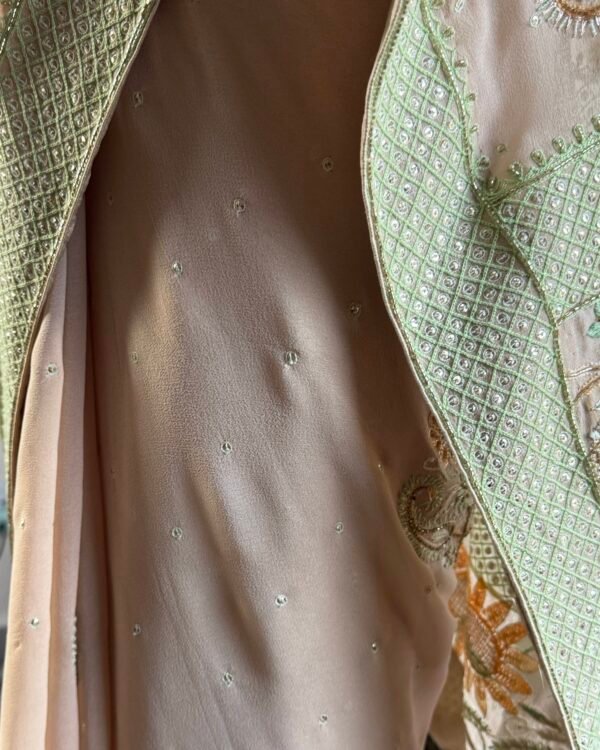 Pure Georgette Fine Chikankari Saree - Image 9