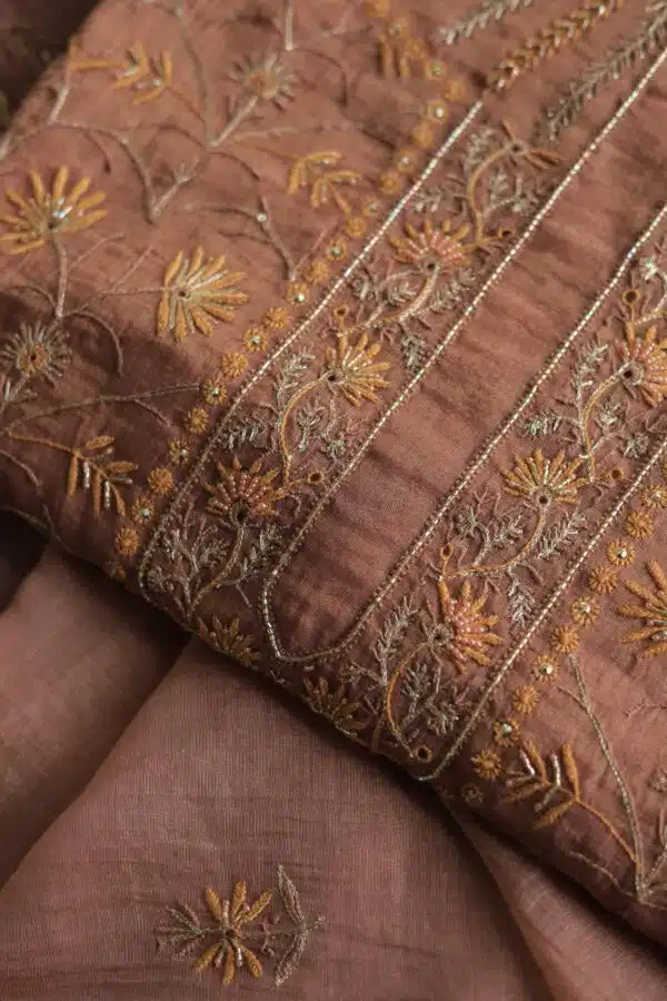 Roheen Tissue Silk Chikankari Fabrics - Image 13
