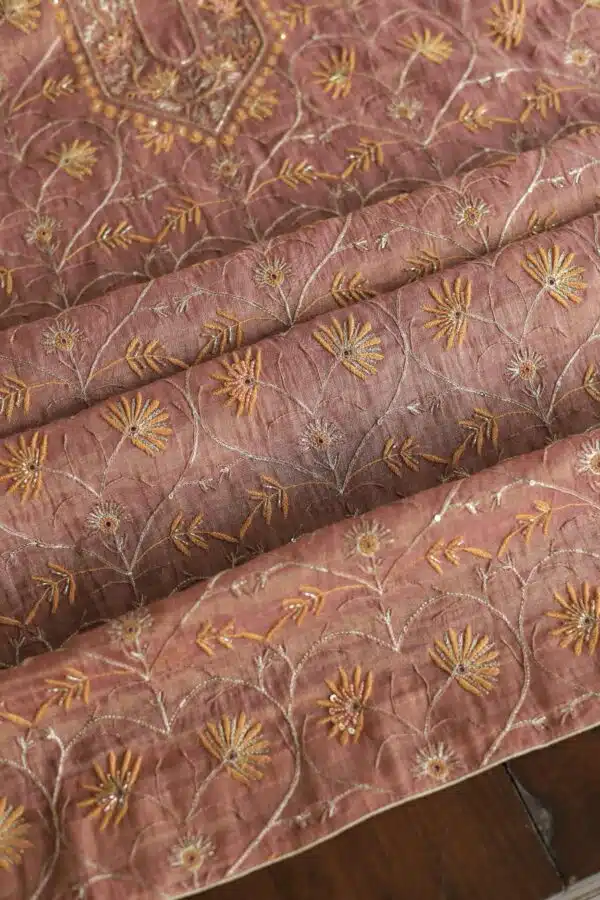 Roheen Tissue Silk Chikankari Fabrics - Image 3
