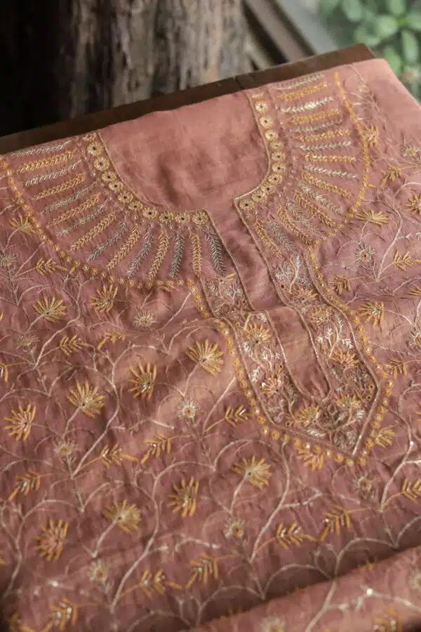 Roheen Tissue Silk Chikankari Fabrics - Image 4