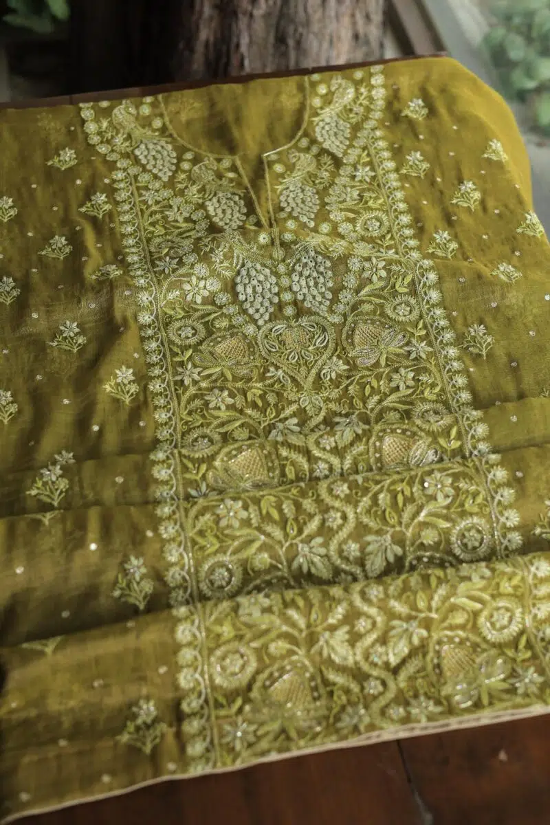 Roheen Tissue Silk Chikankari Fabrics