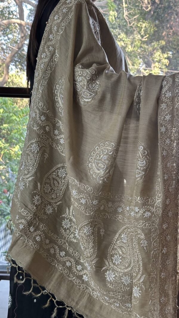 Natural Shade Fine Chikankari Ari Tissue Silk Dupatta - Image 6