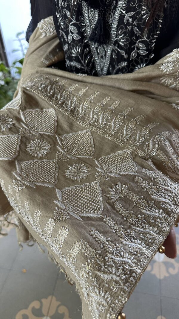 Natural Shade Fine Chikankari Ari Tissue Silk Dupatta