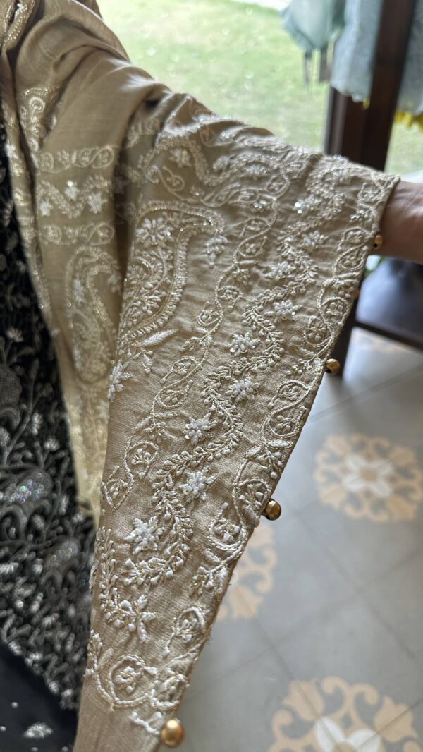 Natural Shade Fine Chikankari Ari Tissue Silk Dupatta - Image 9