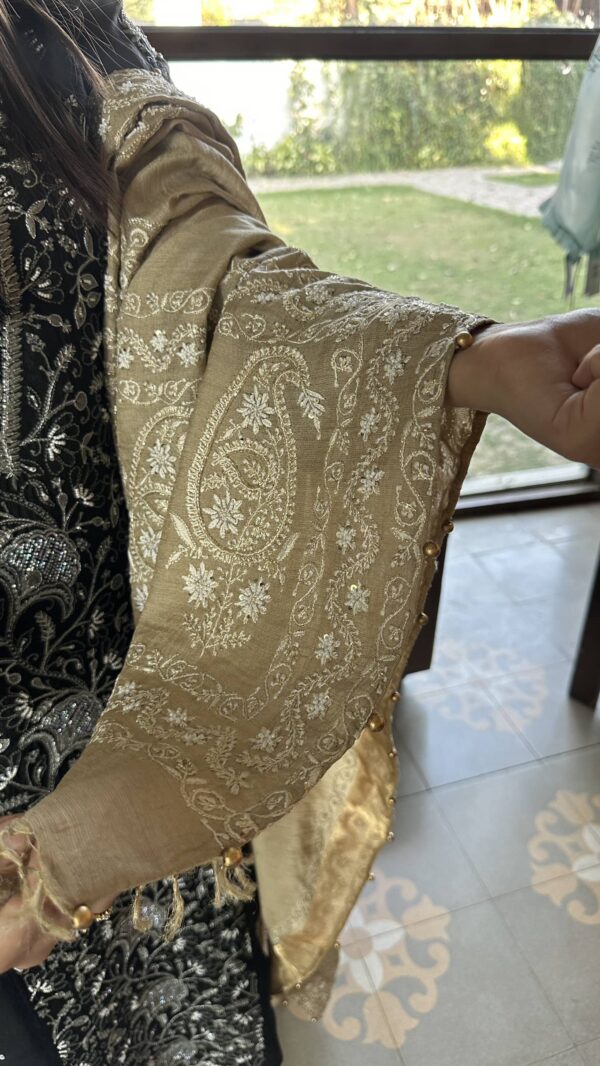 Natural Shade Fine Chikankari Ari Tissue Silk Dupatta - Image 5
