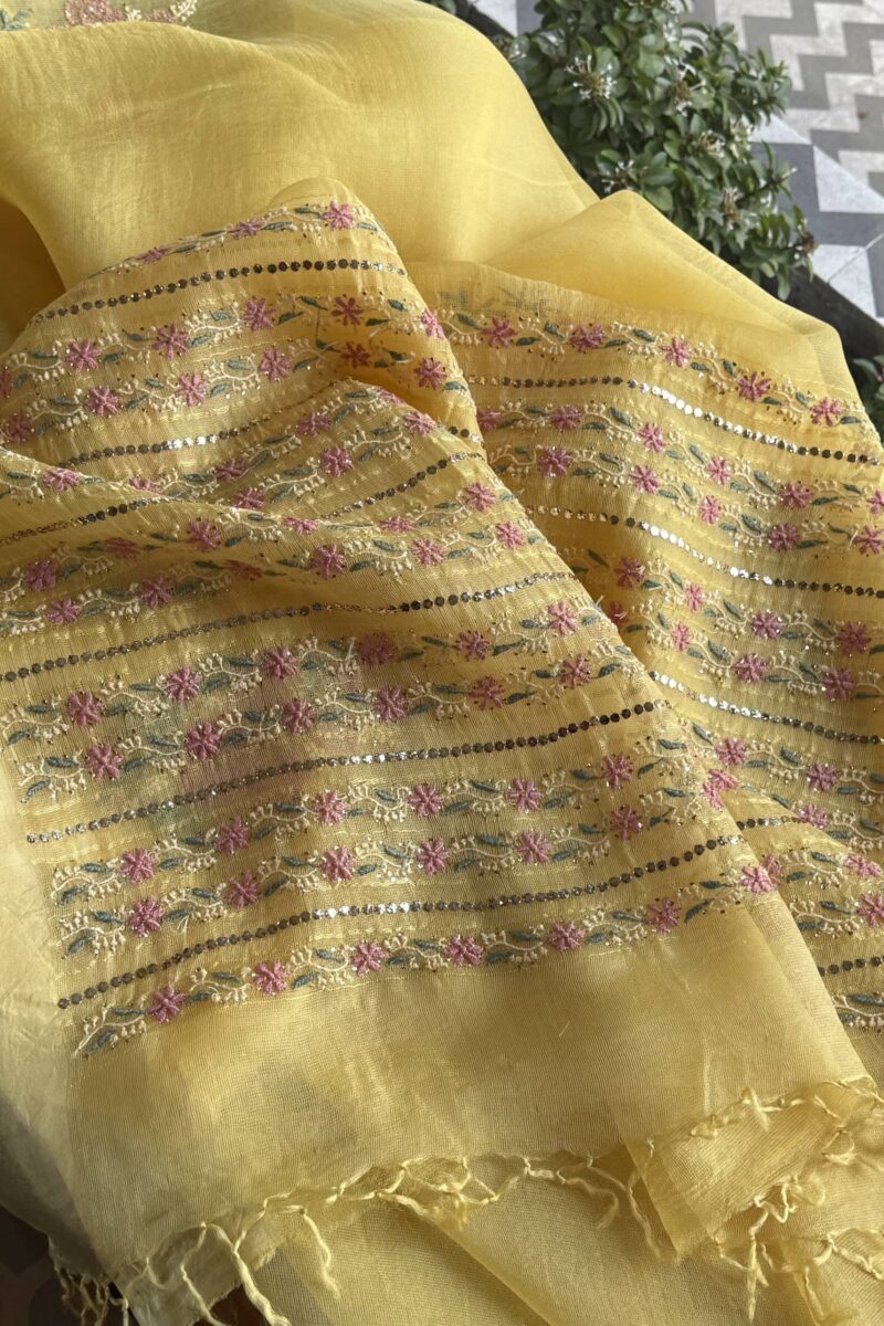 Net Organza Chikankari Saree