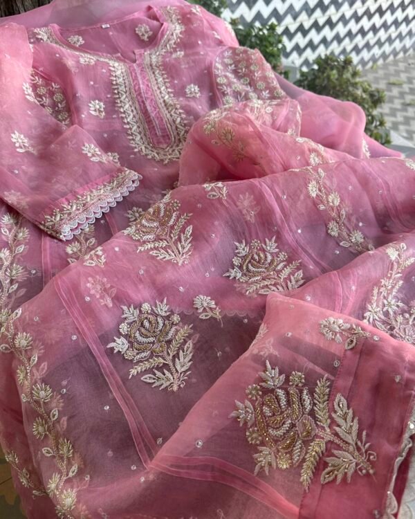 Candy Pink | Noor Organza Chikankari Anarkali - Image 6