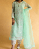 Chikankari x Applique Organza