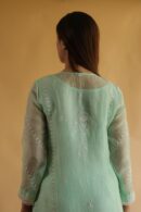Chikankari x Applique Organza