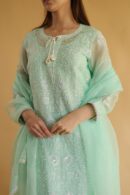 Chikankari x Applique Organza