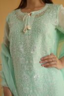 Chikankari x Applique Organza