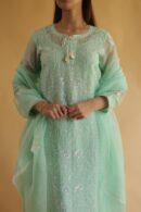 Chikankari x Applique Organza