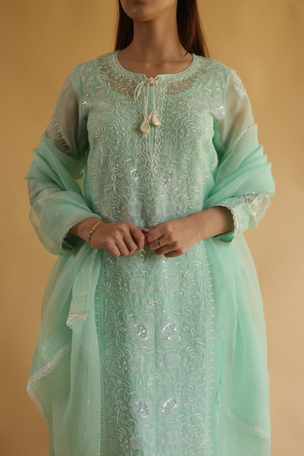 Chikankari x Applique Organza