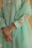 Chikankari x Applique Organza
