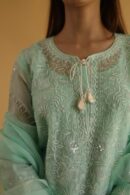 Chikankari x Applique Organza