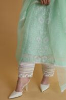 Chikankari x Applique Organza