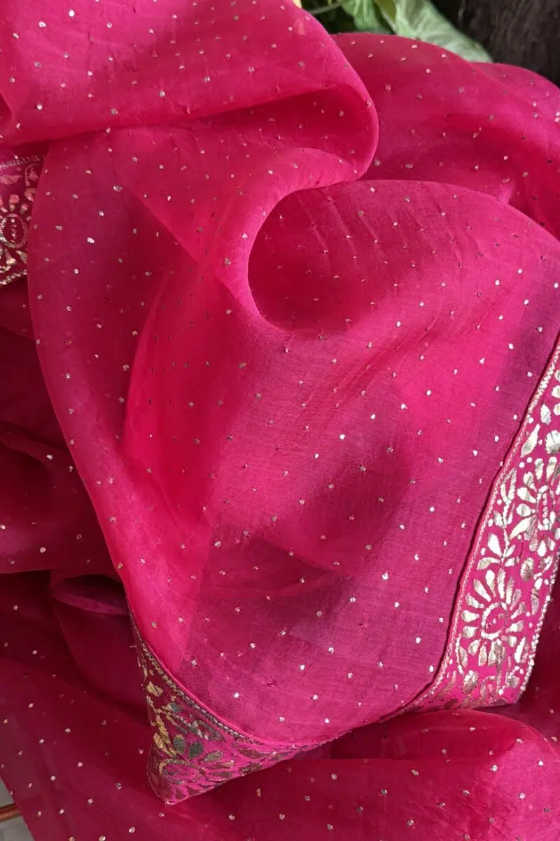 Hot Pink | Noor Organza Kamdani Saree