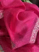 Hot Pink | Noor Organza Kamdani Saree